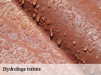 Hydrofuge toiture