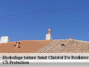 Hydrofuge toiture 30760