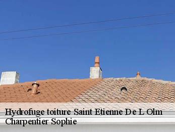 Hydrofuge toiture  30360