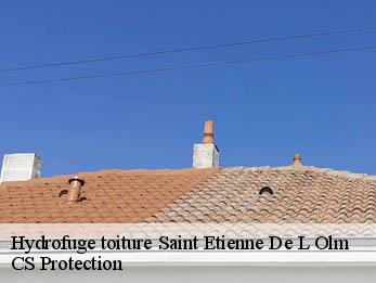 Hydrofuge toiture 30360