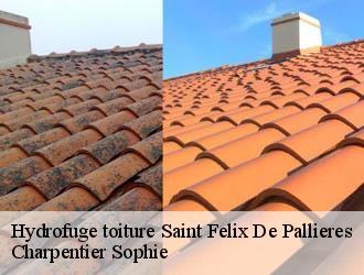 Hydrofuge toiture  saint-felix-de-pallieres-30140 Charpentier Sophie