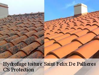 Hydrofuge toiture saint-felix-de-pallieres-30140 CS Protection