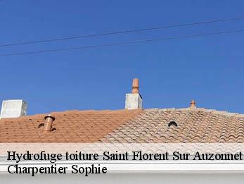 Hydrofuge toiture  30960