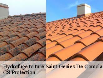 Hydrofuge toiture  saint-genies-de-comolas-30150 CS Protection
