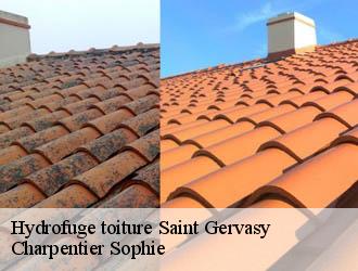 Hydrofuge toiture saint-gervasy-30320 Charpentier Sophie