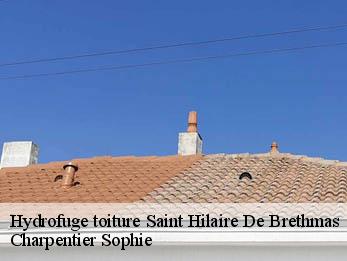 Hydrofuge toiture  30560