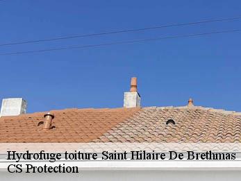 Hydrofuge toiture 30560