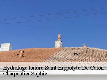 Hydrofuge toiture  30360