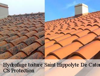 Hydrofuge toiture saint-hippolyte-de-caton-30360 CS Protection