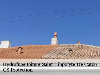 Hydrofuge toiture 30360