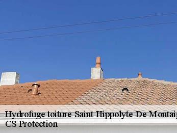 Hydrofuge toiture 30700