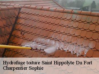 Hydrofuge toiture