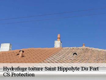 Hydrofuge toiture  30170