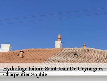 Hydrofuge toiture  30360