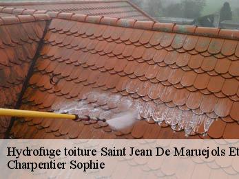 Hydrofuge toiture