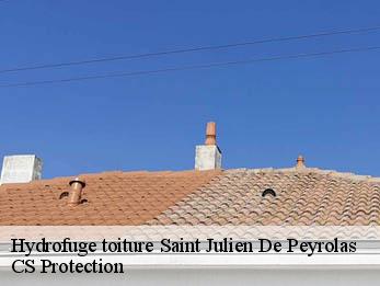 Hydrofuge toiture 30760