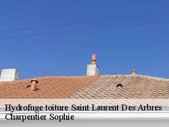 Hydrofuge toiture  30126