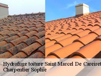 Hydrofuge toiture saint-marcel-de-careiret-30330 Charpentier Sophie