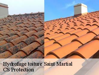 Hydrofuge toiture saint-martial-30440 CS Protection