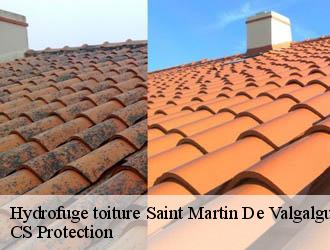 Hydrofuge toiture saint-martin-de-valgalgues-30520 CS Protection