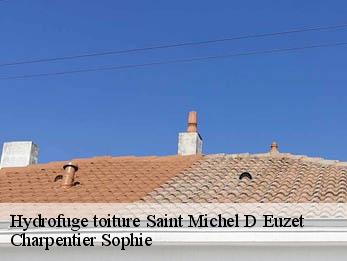 Hydrofuge toiture  30200