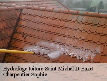 Hydrofuge toiture