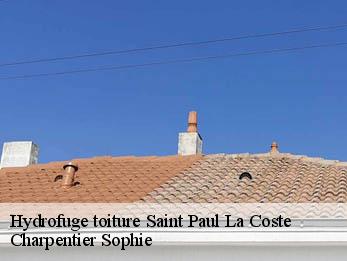 Hydrofuge toiture  30480