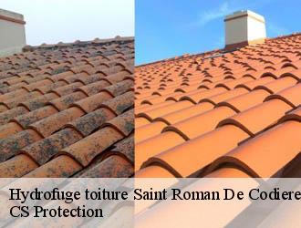 Hydrofuge toiture saint-roman-de-codieres-30440 CS Protection