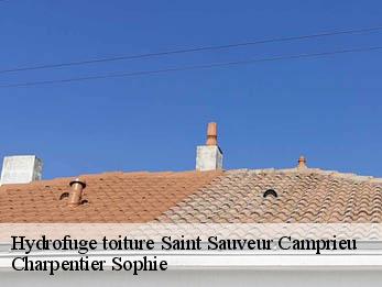 Hydrofuge toiture  30750