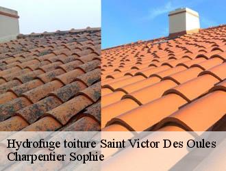Hydrofuge toiture saint-victor-des-oules-30700 Charpentier Sophie