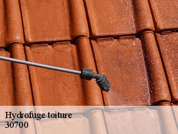 Hydrofuge toiture 30700