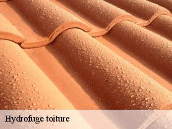 Hydrofuge toiture 30700