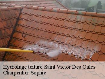 Hydrofuge toiture