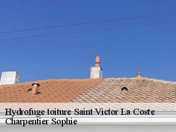 Hydrofuge toiture  30290