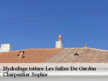 Hydrofuge toiture  30110