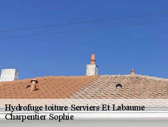 Hydrofuge toiture  30700