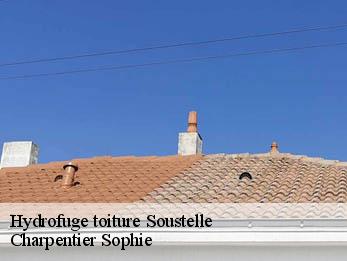 Hydrofuge toiture  30110