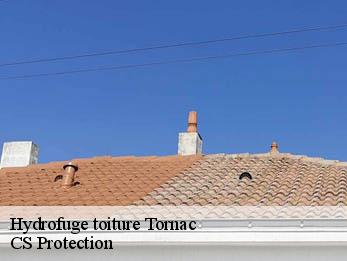 Hydrofuge toiture 30140