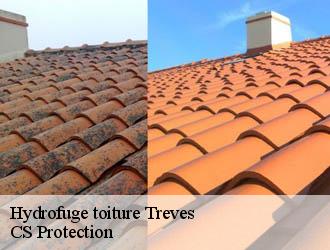 Hydrofuge toiture treves-30750 CS Protection