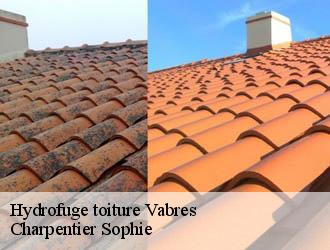 Hydrofuge toiture  vabres-30460 Charpentier Sophie