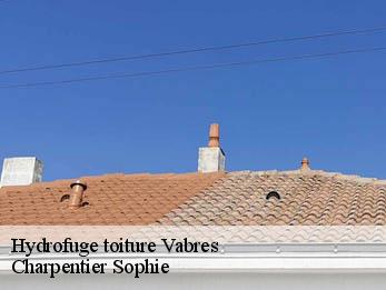 Hydrofuge toiture  30460