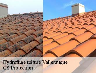 Hydrofuge toiture  valleraugue-30570 CS Protection