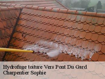 Hydrofuge toiture