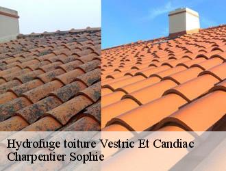 Hydrofuge toiture vestric-et-candiac-30600 Charpentier Sophie