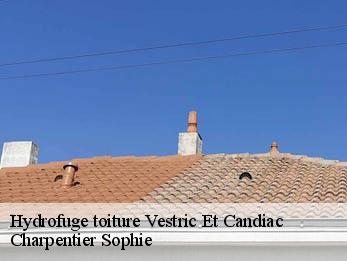 Hydrofuge toiture 30600