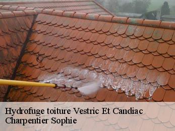 Hydrofuge toiture