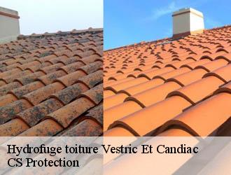 Hydrofuge toiture vestric-et-candiac-30600 CS Protection