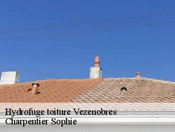 Hydrofuge toiture  30360