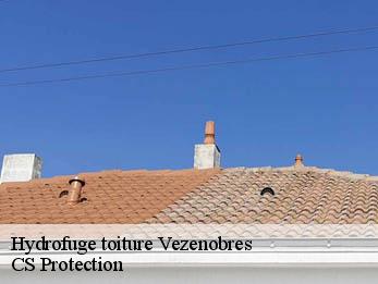 Hydrofuge toiture 30360