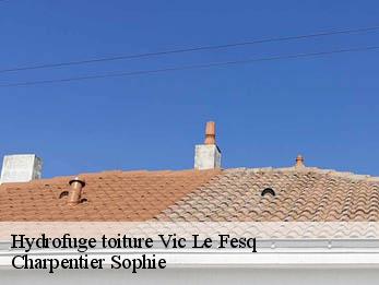 Hydrofuge toiture  30260